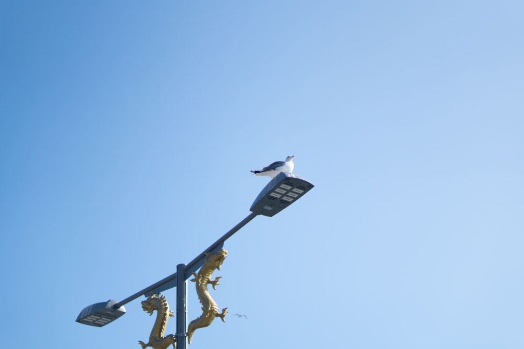 Seagull perched on top of a streetlight overlooking the ocean in Pohang South Korea under a clear blue sky. The coastal scene with seabirds highlights the natural marine environment and local wildlife near renewable energy developments.