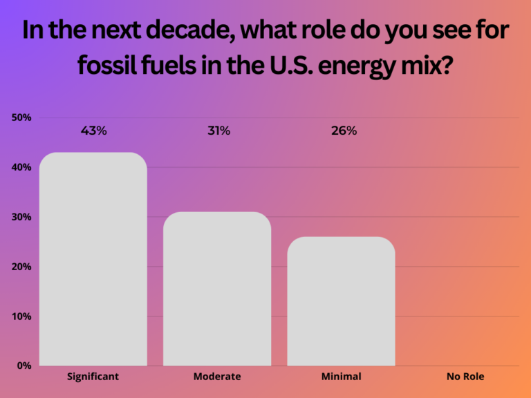 In the next decade, what role do you see for fossil fuels in the U.S. energy mix