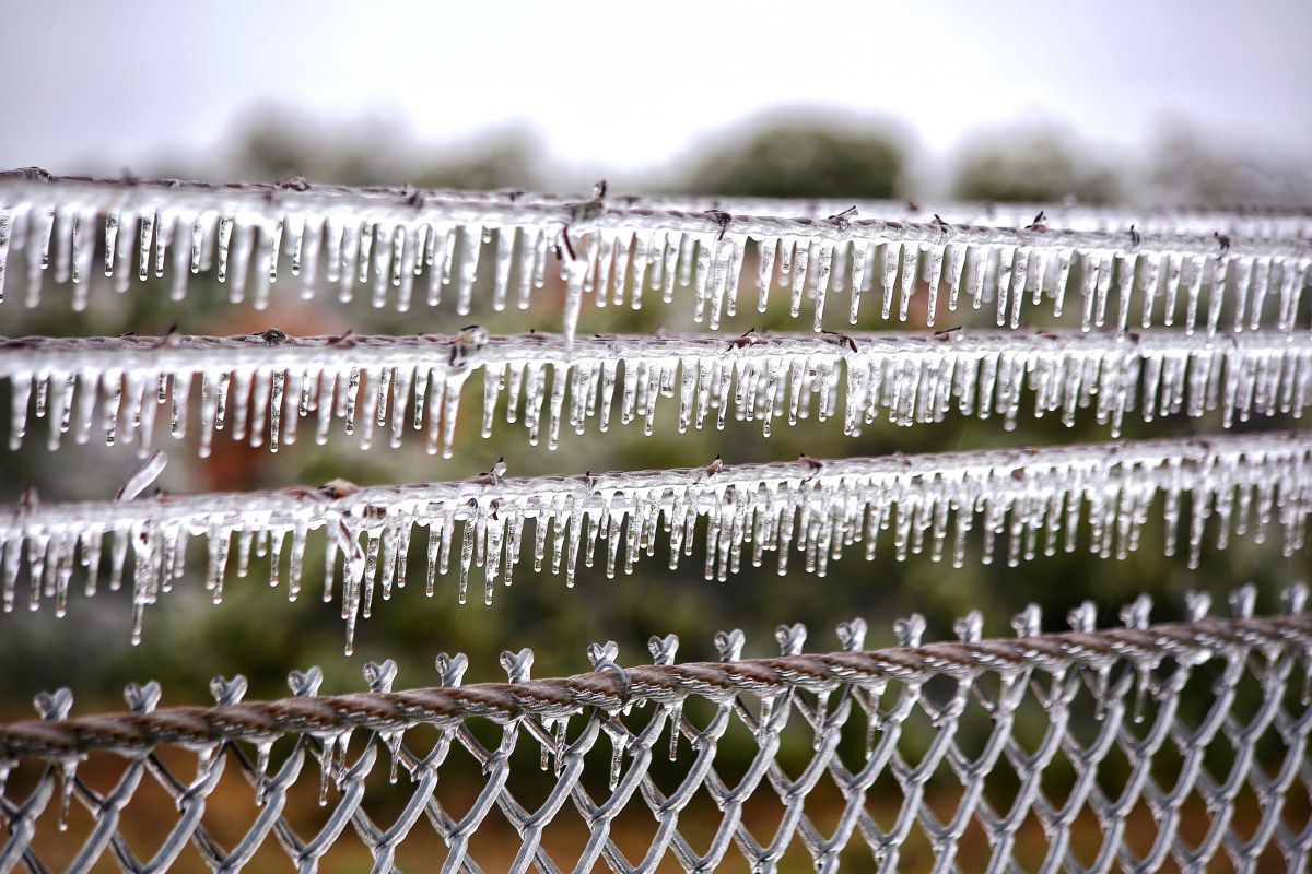 A close-up of a chain-link fence covered in icicles, with the ice hanging from multiple horizontal wires, creating a frosty pattern.