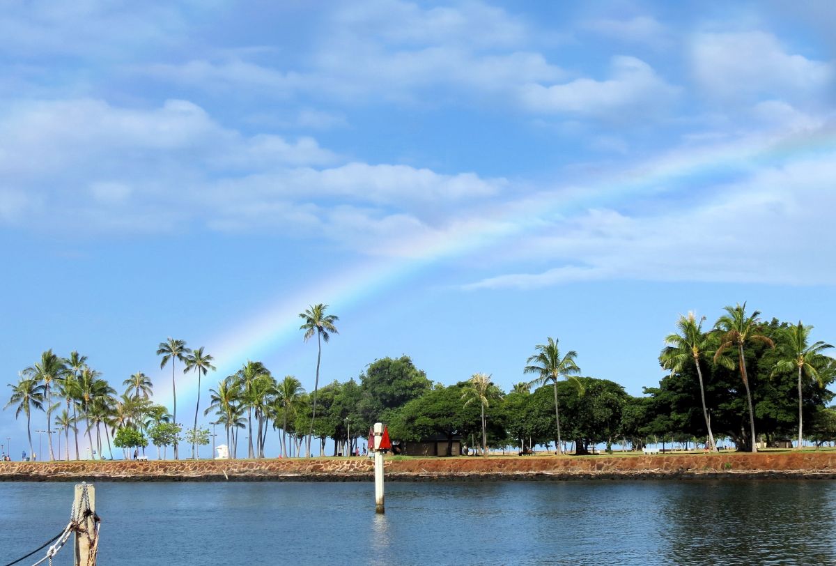 Calm coastal scene with a line of palm trees along the shoreline and a rainbow arching across a partly cloudy sky above the water. A small marker post stands in the water in the foreground, highlighting the peaceful tropical setting.