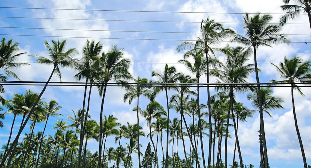 Hawaii Commission Approves HECO’s Five-Year Grid Resilience Plan - Certrec