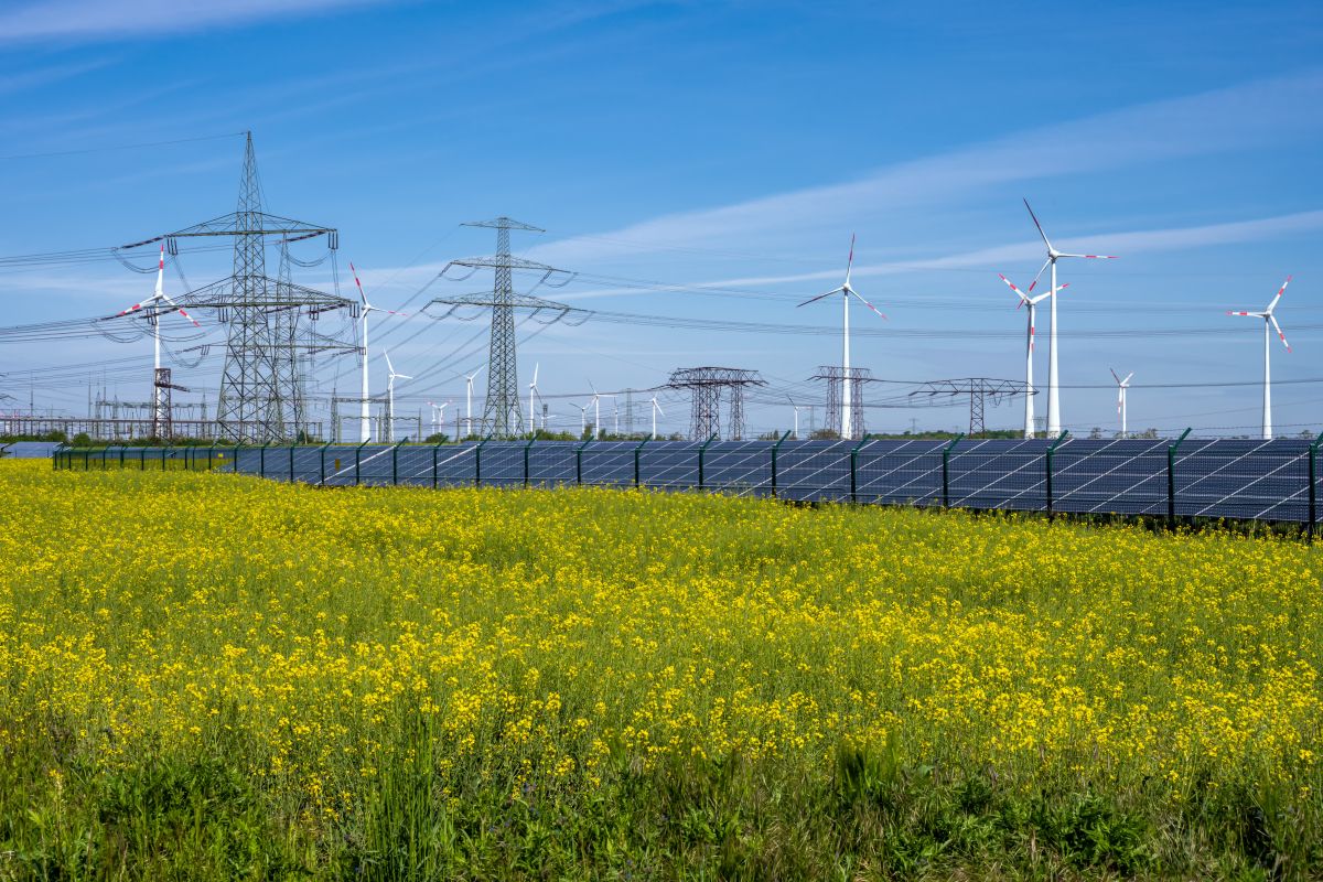 Solar panels installed along a field of yellow flowering plants with wind turbines and power lines in the background, showing a mixed renewable energy landscape generating electricity.