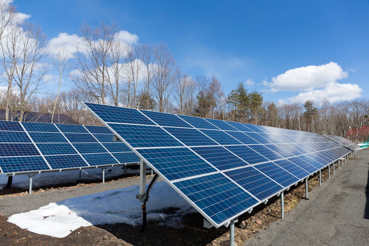 Rows of blue solar panels on angled frames in a snowy outdoor clearing with leafless trees and a bright sky, showing a renewable energy installation in winter.