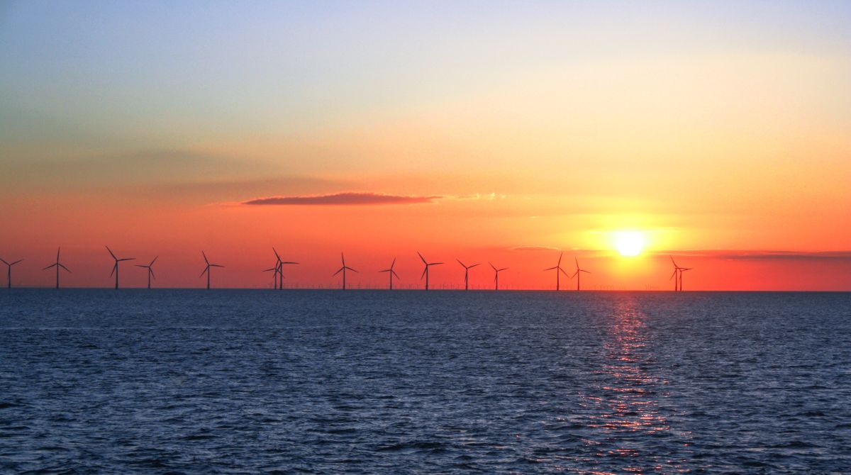Offshore wind turbines lined across the ocean horizon at sunset with the sun low over the water, showing large scale renewable energy generation at sea.