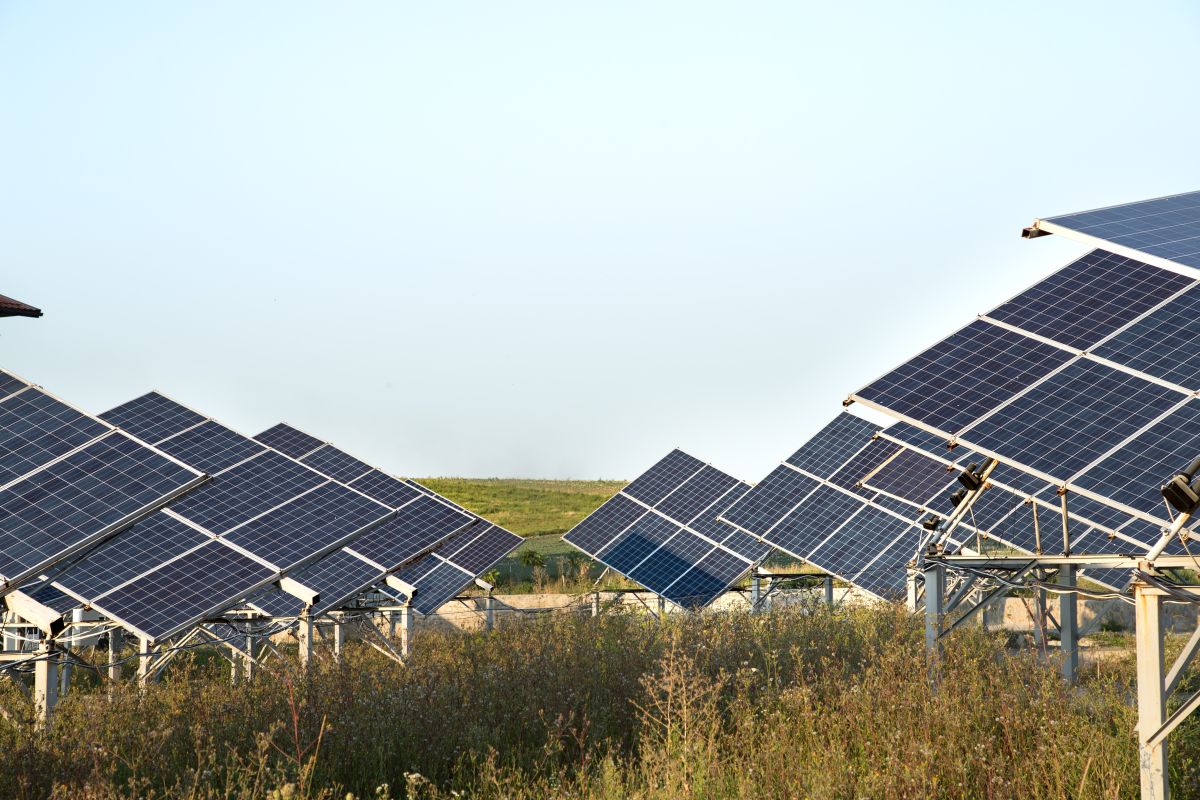 Multiple solar panel arrays mounted on metal frames in a grassy field under a clear sky, capturing sunlight to generate renewable energy.