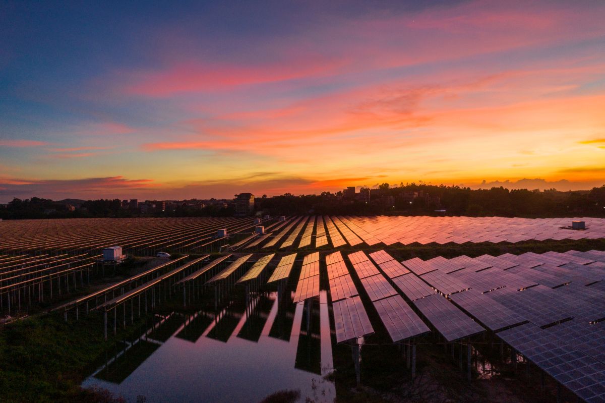 Rows of solar panels stretching across a large solar farm at sunset under a pink and orange sky.