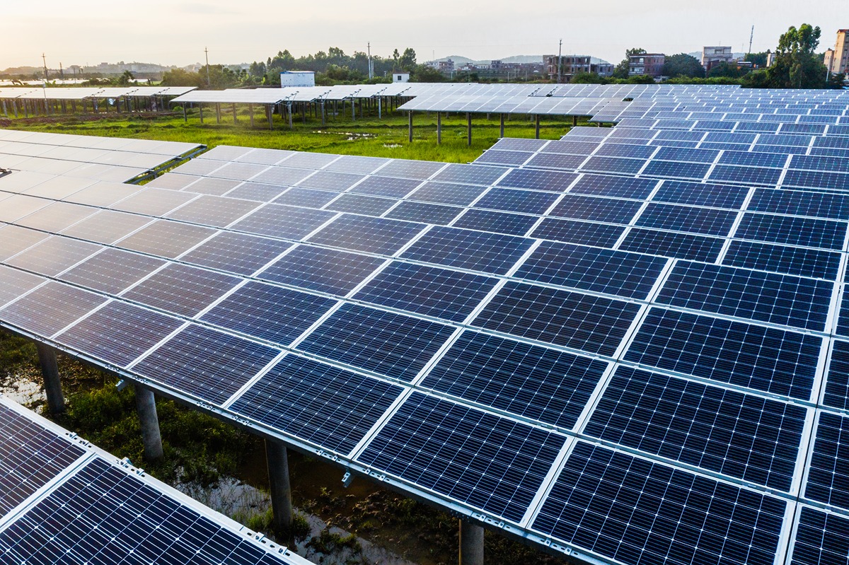 Wide view of solar panels in a field, representing the NYPA's 55-GW renewable energy plan.