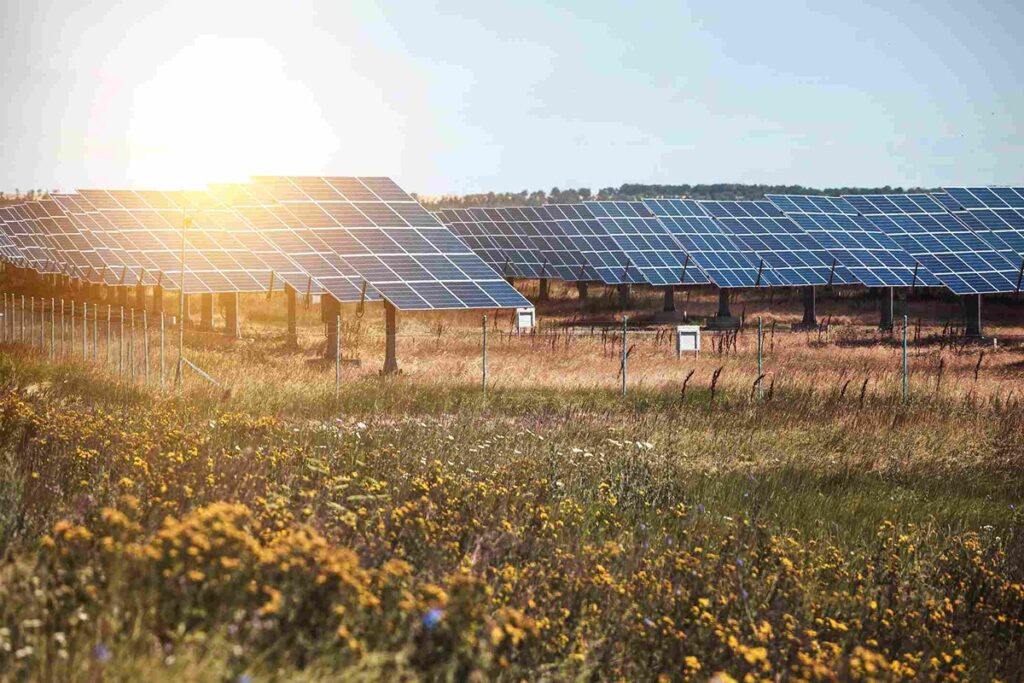 Solar battery storage system in a field, contributing to reduced natural gas generation in California, as reported by the EIA.
