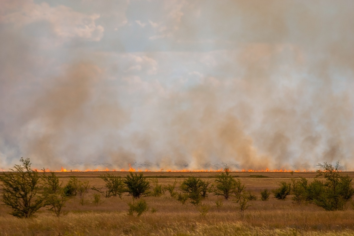 A wildfire blazes across a dry grassland in the Texas Panhandle, with flames stretching along the horizon and thick smoke billowing into the sky. The image underscores the severity of the fires central to the lawsuit against Xcel.