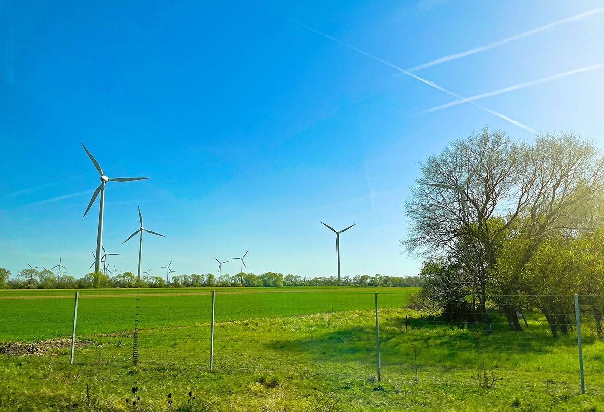 A field of wind turbines spinning under a clear blue sky with contrails, bordered by a grassy area and leafing trees. The image relates to halted offshore wind projects, visually representing renewable energy infrastructure.