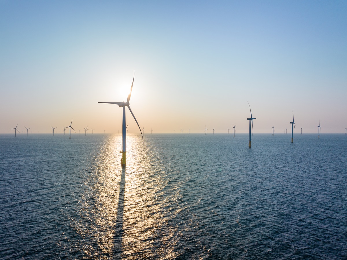 Offshore wind farm at sunset with dozens of wind turbines spread across calm ocean waters. The sun is low on the horizon, casting a golden reflection on the water and silhouetting one of the closest turbines in the foreground.
