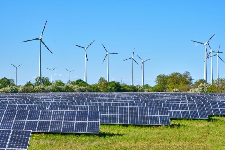 EIA Forecasts 20% Increase in Utility-Scale Solar Capacity This Summer