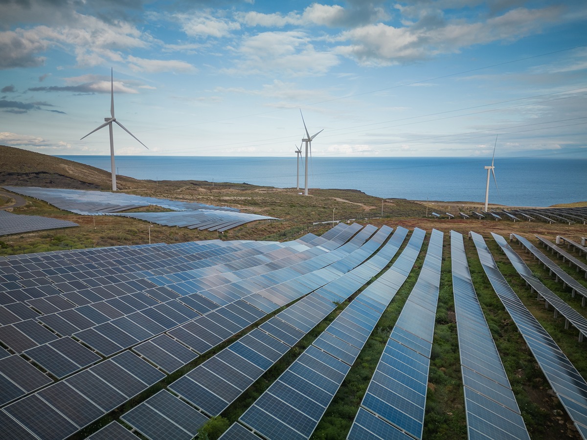 Solar panels cover rolling hillside with wind turbines by the ocean in the distance.