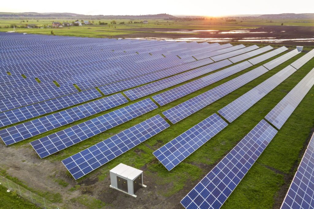 Aerial view of a large solar farm with blue panels arranged in long parallel rows across a grassy field at sunset.